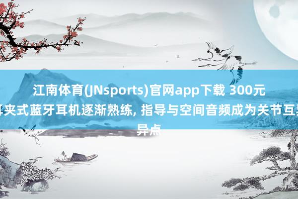 江南体育(JNsports)官网app下载 300元内耳夹式蓝牙耳机逐渐熟练, 指导与空间音频成为关节互异点