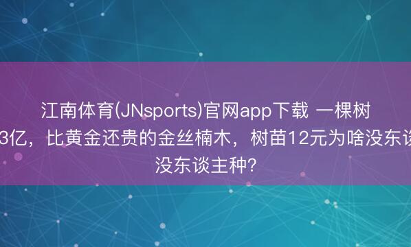 江南体育(JNsports)官网app下载 一棵树能卖2.3亿，比黄金还贵的金丝楠木，树苗12元为啥没东谈主种？